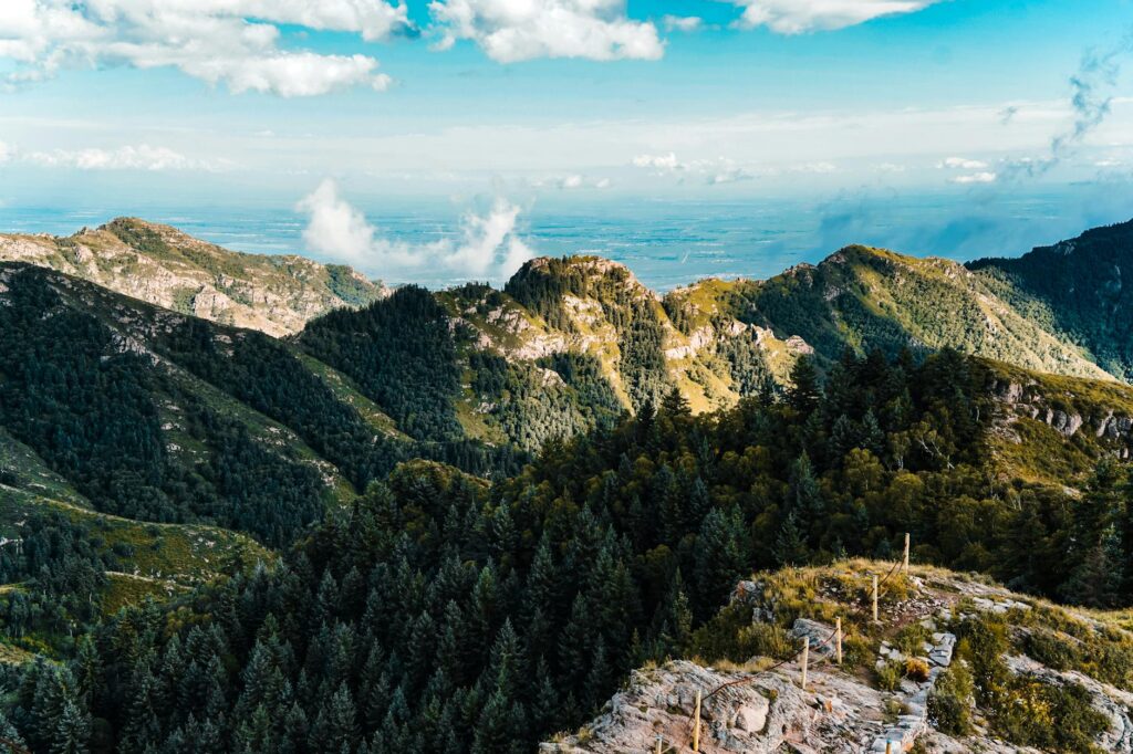 小山の新緑！太平山で登山＆自然満喫
